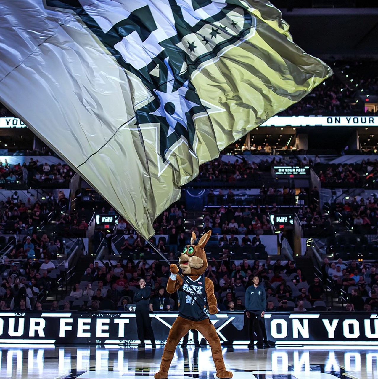 丰富的执教 丰富的执教